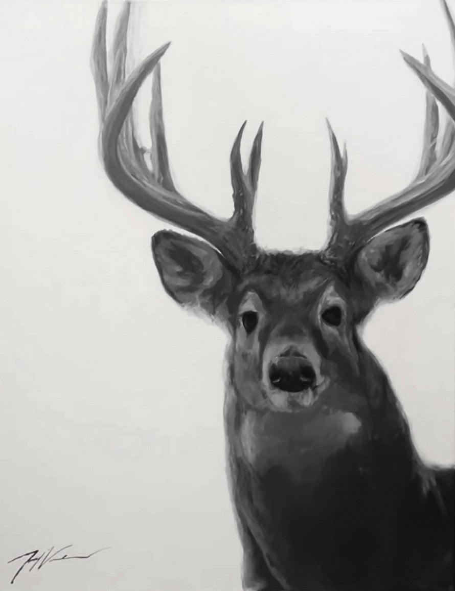 "Whitetail study"